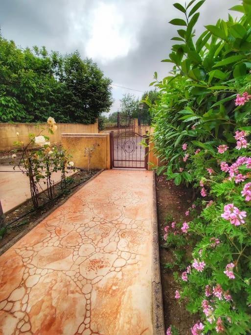 Villetta Di Anastasia 1 Tropea Filandari Esterno foto